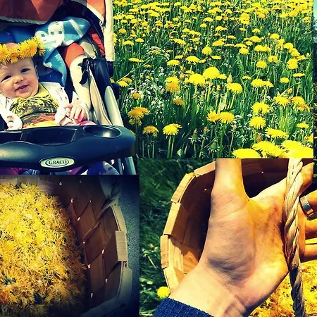 Дом отдыха Maenni Summerhouse *