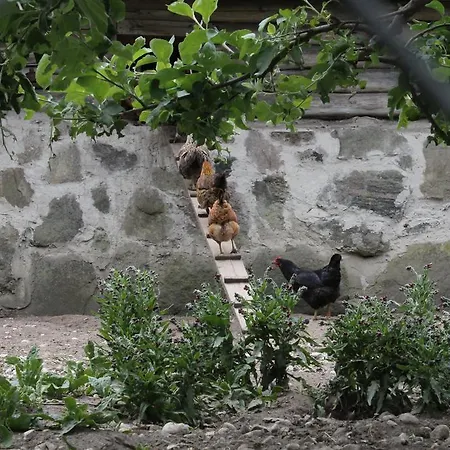 Дом отдыха Maenni Summerhouse Kassari