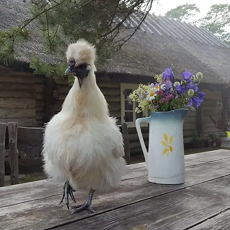 Maenni Summerhouse Kassari