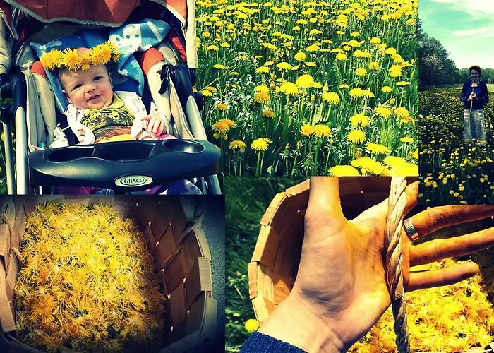 Tatil Evi Maenni Summerhouse *