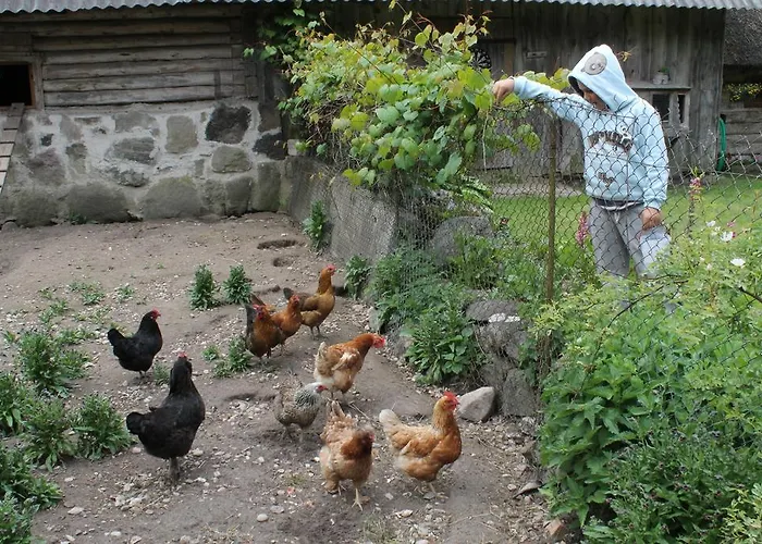 Maenni Summerhouse Kassari