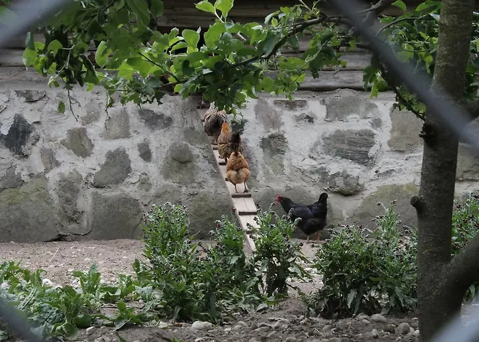 Vakantiehuis Maenni Summerhouse Kassari