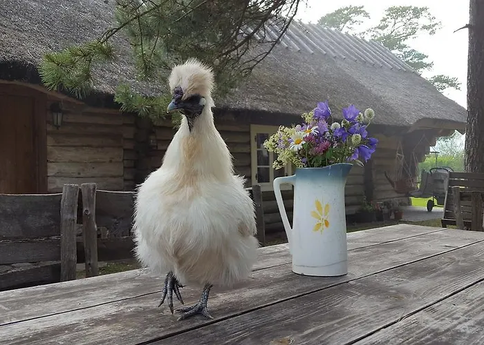 Maenni Summerhouse Kassari